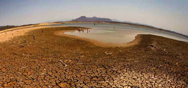 Sonora, al límite Sonora, al límite