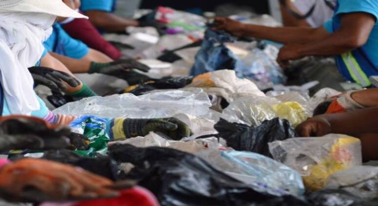 Así debes separar la basura en Cuernavaca