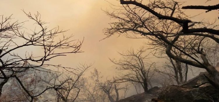 Gobierno recomienda cuidarse de contaminación por incendios forestales