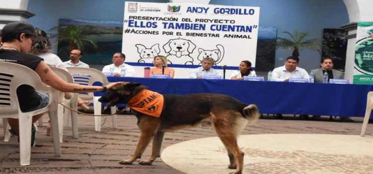 Crean proyecto “Ellos también cuentan” en Cuernavaca