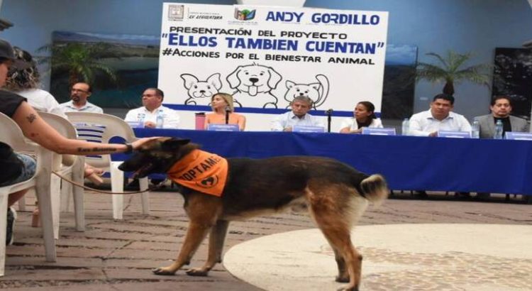 Crean proyecto “Ellos también cuentan” en Cuernavaca