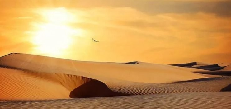 Desierto de Altar, el lugar más caluroso del mundo