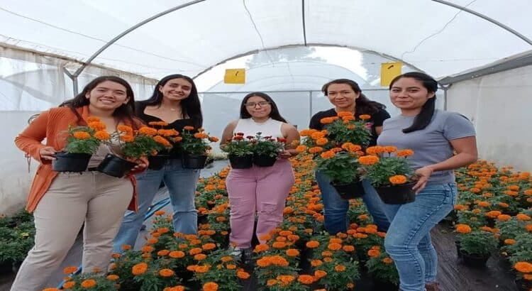 Estudiantes de la UAEM producen y comercializan flor cempasúchil