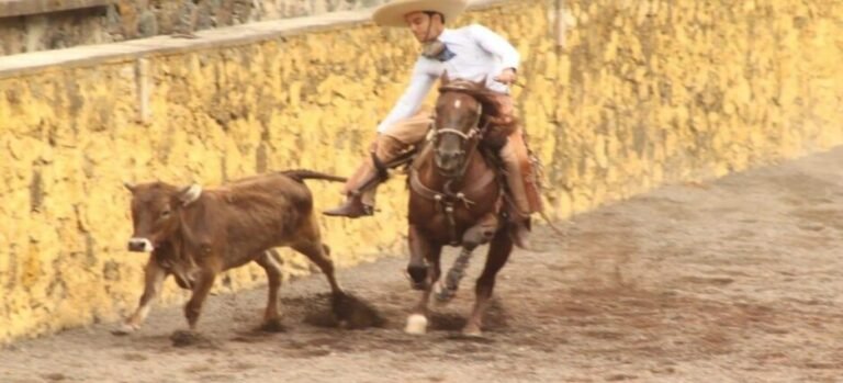 Gobierno de Morelos impulsara la charrería