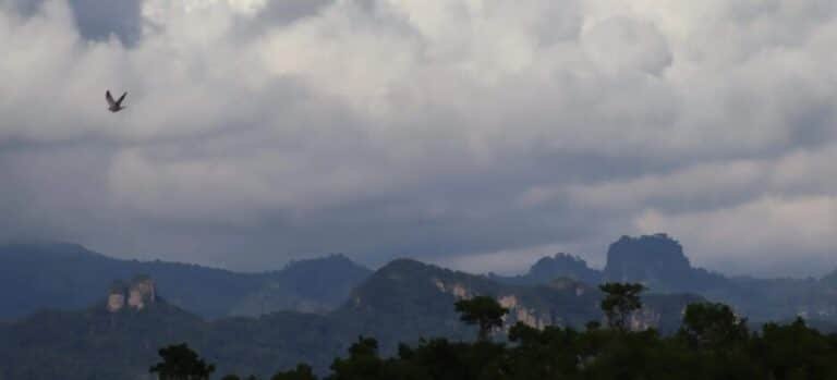 Estiaje no será tan agresivo en Morelos