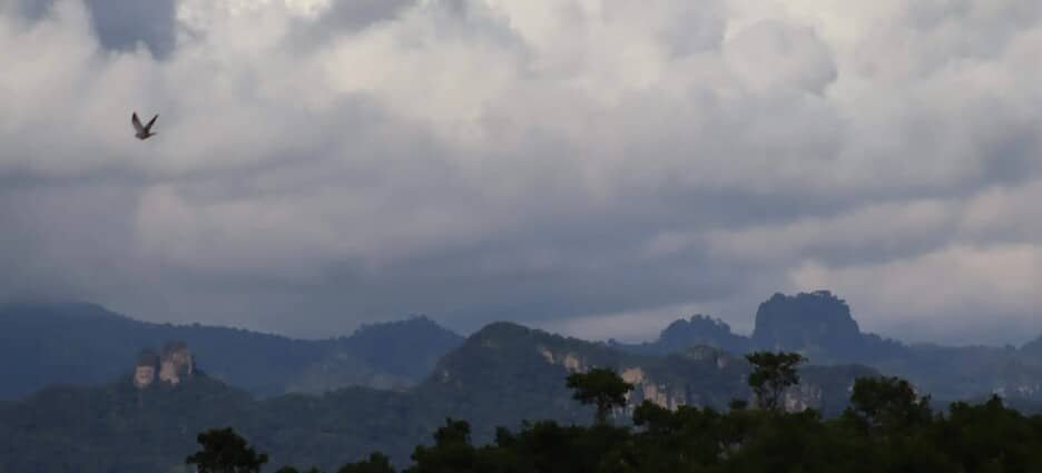 Estiaje no será tan agresivo en Morelos