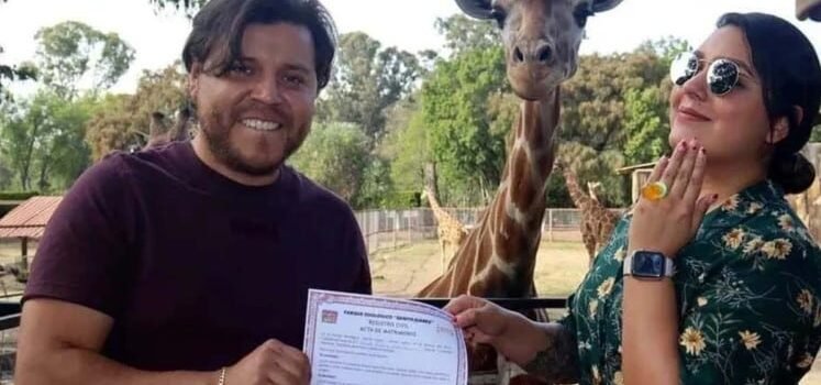 Cásate en el Zoológico … con una jirafa como testigo Cásate en el Zoológico … con una jirafa como testigo