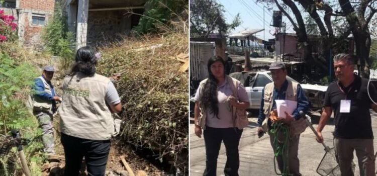 Encuentran cocodrilo en Cuernavaca; investigan su origen Encuentran cocodrilo en Cuernavaca; investigan su origen