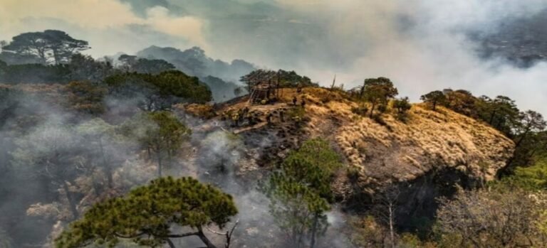 Al momento, hay 5 incendios forestales activos en Morelos