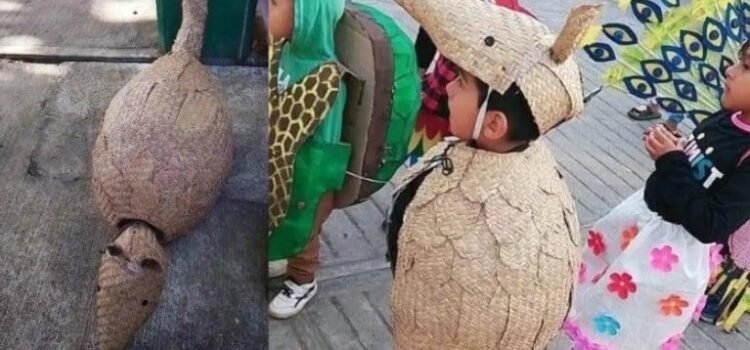 El “niño armadillo” la rompe en redes