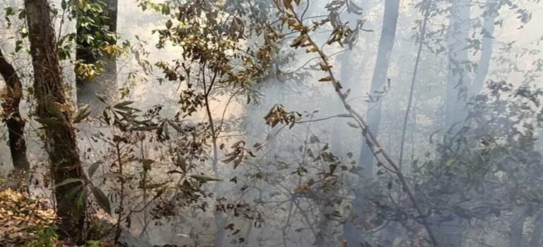 Incendio provocado afectó zona de El Alambrado en Cuernavaca, Morelos