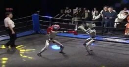 China celebra el primer combate de kickboxing entre robots humanoides del mundo