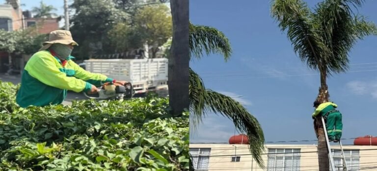Intensifican mantenimiento de áreas verdes durante la temporada de lluvias en Cuernavaca