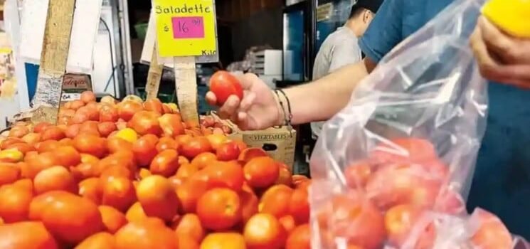No hay país que pueda sustituir a México en la producción de tomate
