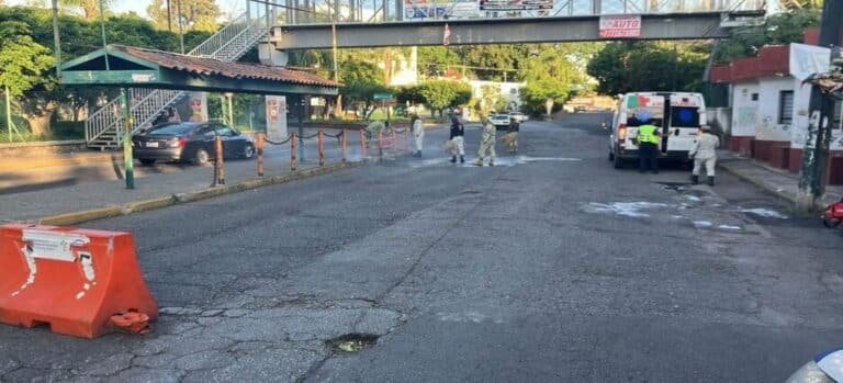 Hombre pierde la vida por picadura de abejas en Cuernavaca