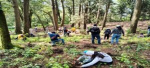 Reforestan Bosque de Ahuatepec en Cuernavaca