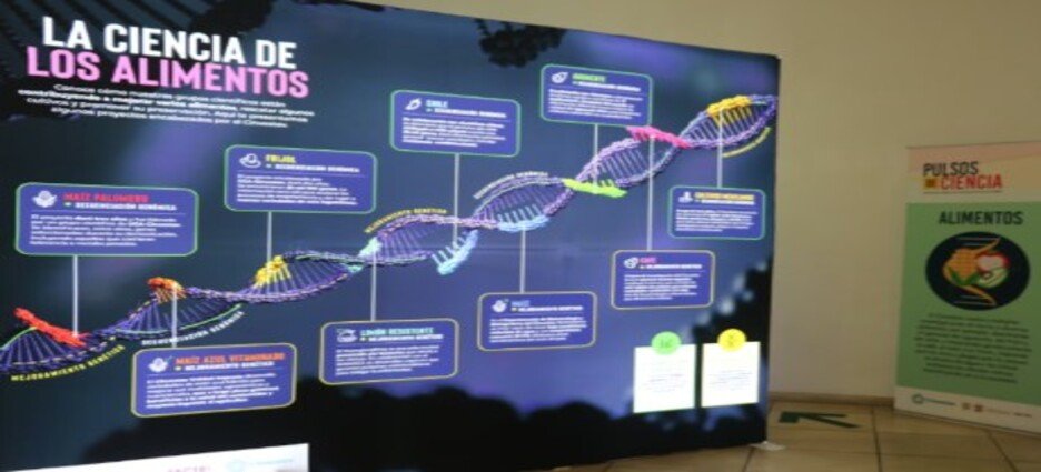 Exhibición "Pulsos de la Ciencia" llega a Cuernavaca