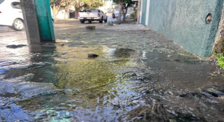 Fuga en registro del Sapac lleva 3 semanas sin reparación Fuga en registro del Sapac lleva 3 semanas sin reparación