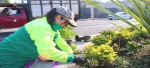 Cuernavaca se adorna completamente con flores de vivero municipal