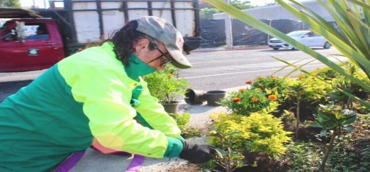 Cuernavaca se adorna completamente con flores de vivero municipal