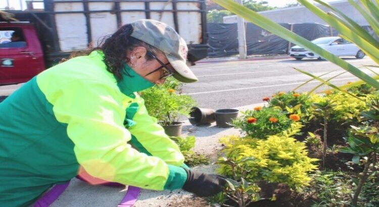 Cuernavaca se adorna completamente con flores de vivero municipal