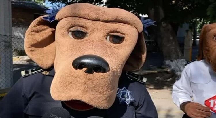 Detectan acoso escolar y consumo de drogas en Cuernavaca Detectan acoso escolar y consumo de drogas en Cuernavaca