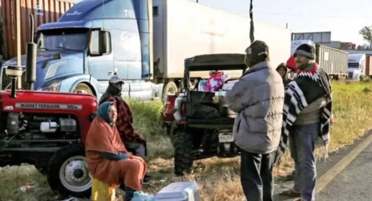 Dejan paros agrícolas pérdidas por más de 2 mil mdp