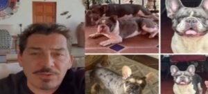 José Manuel Figueroa ofrece recompensa por localizar a sus mascotas extraviadas en Cuernavaca