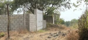 Piden apoyo a Gobierno para rehabilitar calles Nogal y Palmas en Cuernavaca