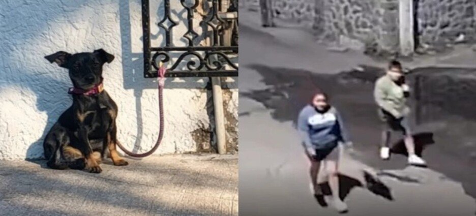 Captan momento en que pareja abandona a perrita en Cuernavaca
