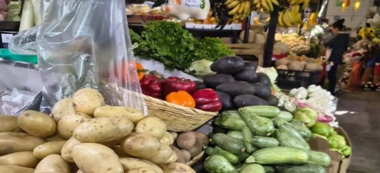 Locales abiertos, pero sin muchos clientes en Mercado de La Selva de Cuernavaca