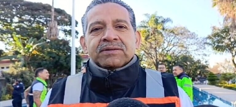 Protección Civil de Cuernavaca atiende caída de árboles en diversos puntos de la ciudad