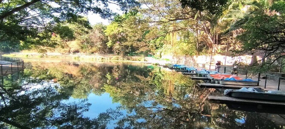 Cierran zona del lago en Parque Chapultepec de Cuernavaca por saneamiento