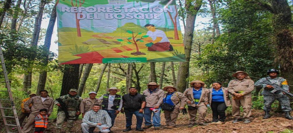Inician reforestación de bosques en Cuernavaca
